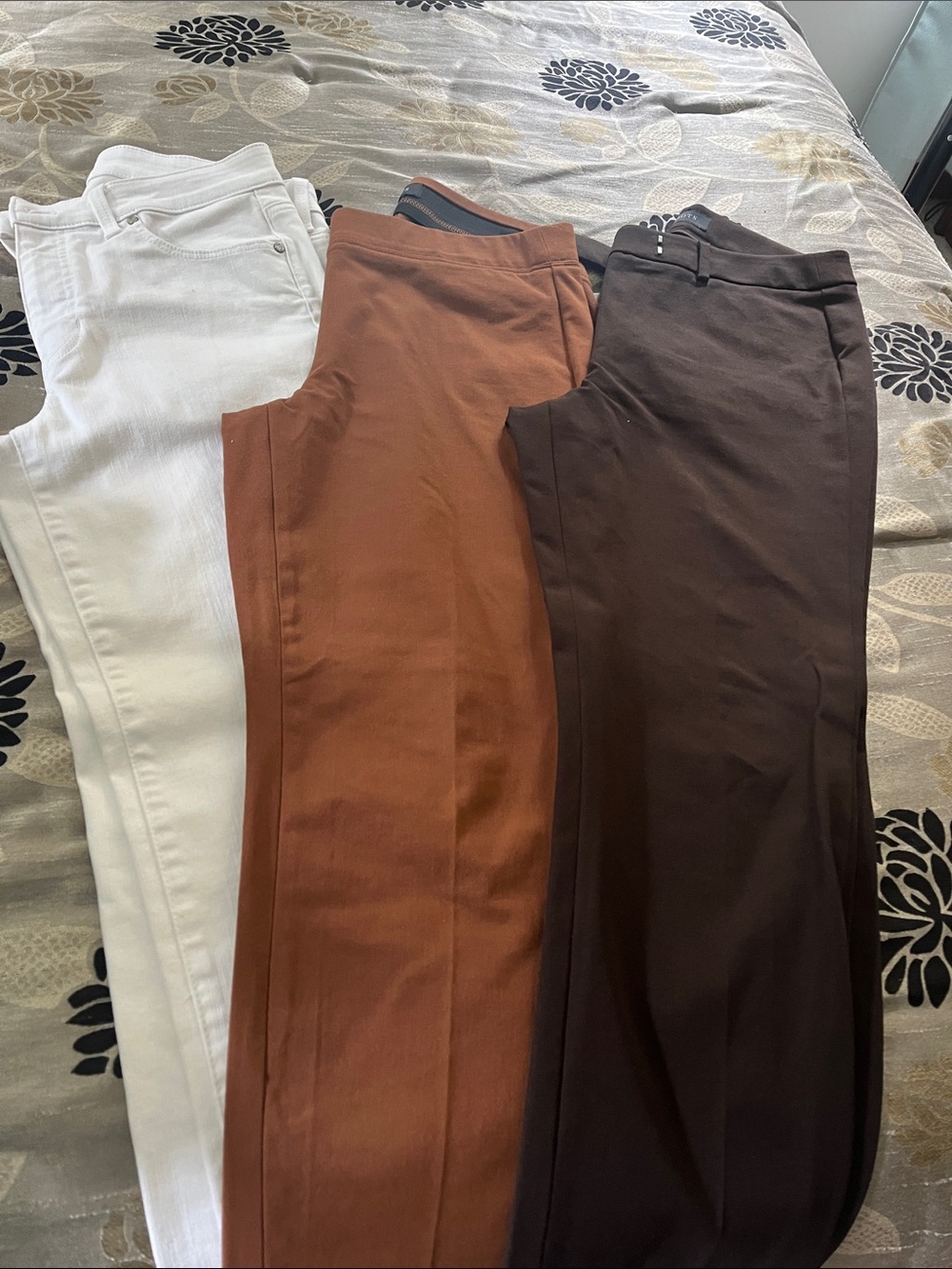 Talbots Ankle-Length Pants Trio in White, Rust, and Chocolate